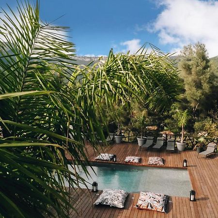 Villa Holistika : Bed And Breakfast / Pool / Air Conditioning/ Mont Faron 土伦 外观 照片